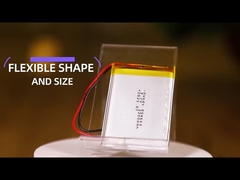 Lithiumpolymerbatterie